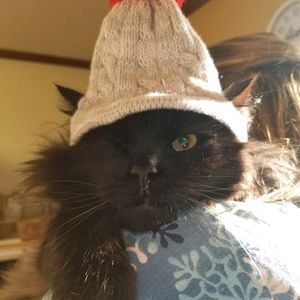 Meet your Posher, Linda